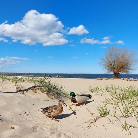Ferienwohnung ab zum Haff Ueckermünde Exterior foto