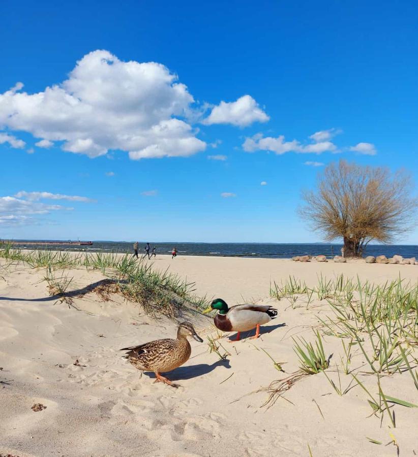 Ferienwohnung ab zum Haff Ueckermünde Exterior foto