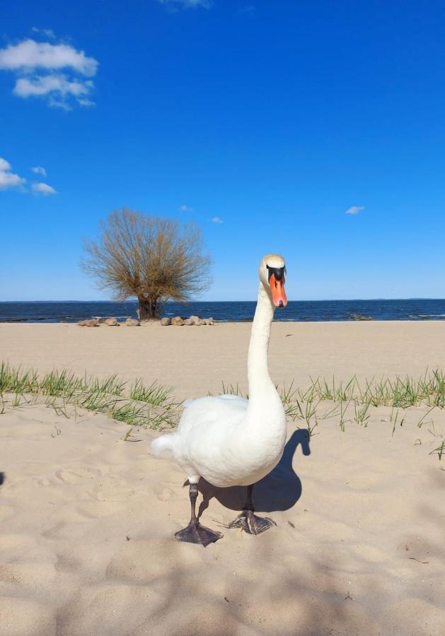Ferienwohnung ab zum Haff Ueckermünde Exterior foto